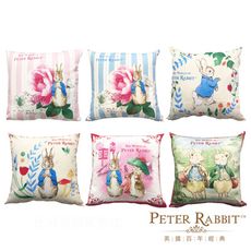 ⚡PETER RABBIT 彼得兔 比得兔 6 款經典抱枕⚡