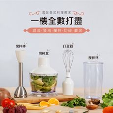 【SANSUI 山水】多功能手持式調理棒/攪拌棒/料理棒(SD-Z15)