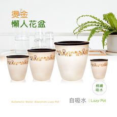 博士韋爾BOSSWELL 自動吸水 棉繩吸水 燙金花邊 懶人盆栽 (14*13CM)(PH13W)