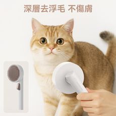 圓餅貓梳