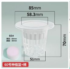 水耕植物種植籃無土栽培設備固根器圓形定植杯棉園藝陽台蔬菜水耕