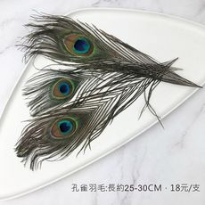 25~30cm 天然孔雀羽毛-花束羽毛裝飾 婚禮布置 拍照道具 不凋花束裝飾 - 1支