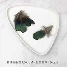 手札羽毛 天然野雞羽毛-花束羽毛裝飾 婚禮布置 拍照道具 - 藍綠翡翠,1支