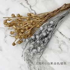 金色/銀色4-6顆帶枝 進口乾燥天然 尤加利小白果-乾燥花圈 乾燥花束 不凋花 拍照道具 室內擺飾