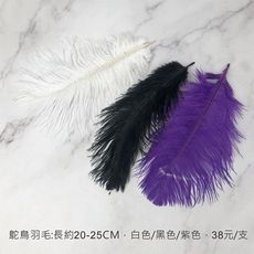 20~25cm 天然鴕鳥羽毛-花束羽毛裝飾 婚禮布置 拍照道具