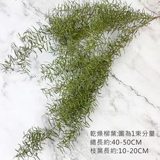 乾燥柳葉 -不凋花/乾燥花配草 乾燥花束 不凋花 拍照道具 室內擺飾 -45元/束