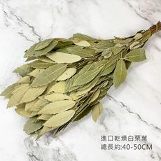 進口白栗葉 -乾燥花配草 不凋乾燥花圈 乾燥花束 不凋花 拍照道具 室內擺飾