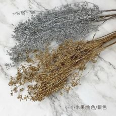 進口永生小米果-乾燥花圈 乾燥花束 不凋花 拍照道具 室內擺飾 乾燥花材-75元/10g