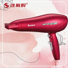 TAHSIN(達新牌) TS-2888 負離子吹風機