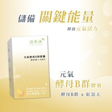 活萃泱 元氣酵母B群膠囊 (60粒/盒) γ-穀維素 紅景天 維生素Ｂ群 天然Ｂ群 b comple