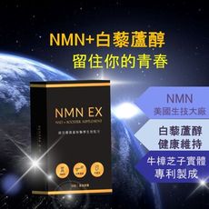 【NMN+白藜蘆醇】 強效配方 NAD+補充劑 煙酰胺單核苷酸 高純度 強效配方 牛樟芝 現貨 快速