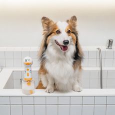 【URBANER 奧本】奧本寵物洗澡電動起泡機 (IPXT7防水等級/迅速起泡) CT-11