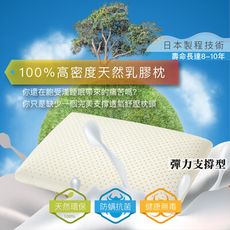 【現貨】100%天然乳膠枕 彈力支撐型 防蹣 抗菌 舒適 透氣 枕心 枕頭