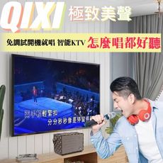 QIXI極致美聲 卡拉OK雙麥克風三合一K歌音響 支援所有手機7天鑑賞期品質保證