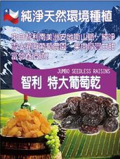 批發2.5Kg智利珍寶黃金葡萄乾§白葡萄乾 果肉厚實 微酸清甜/堅果烘焙材料/果乾
