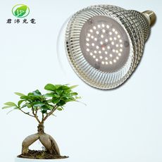 君沛 植物燈 15瓦 全光譜燈泡 E27植物燈泡 多肉植物燈 觀葉植物燈 塊根植物燈