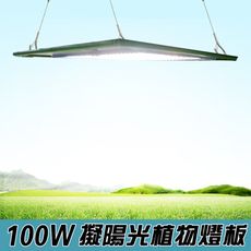 君沛 燈板系列 100瓦 吊掛式 植物燈 全光譜 植物成長專用燈 植物生長燈