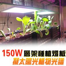 君沛 植物燈板 150瓦 量子板 植物層架燈板 全光譜 植物燈板 裸版 led燈板
