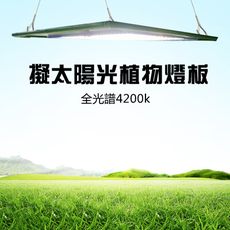 君沛 燈板系列 50瓦 吊掛式 植物燈 全光譜 植物成長專用燈 植物生長燈