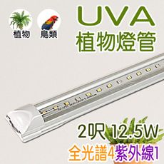 T8 2呎 植物燈管 UV植物燈 紫外線全光譜燈管 紫外線植物燈 12.5瓦 多肉燈 觀葉植物 塊根