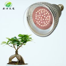 君沛 植物燈 15瓦 加強型全光譜 燈泡 E27植物燈泡 多肉植物燈 觀葉植物燈 塊根植物燈