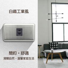 【朝日電工】 DS-1S 工業風白鐵組合式單暗插座組