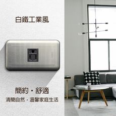 【朝日電工】 DS-1A 工業風白鐵組合式單附接地暗插座組