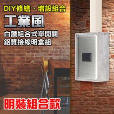 【朝日電工】 DS-1K+B 工業風白鐵組合式單開關明盒組