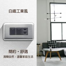 【朝日電工】 DS-2K1S 工業風白鐵組合式雙開關單插座組