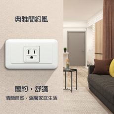 【朝日電工】 P-TL-1H 雅白大型單附接地插座組(2入組)