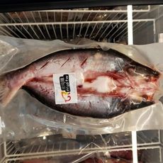 【飛飛購】嚴選鮮凍 鯰魚 750g 附發票