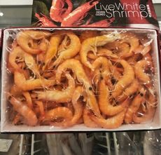 【飛飛購】嚴選鮮凍 熟白蝦 1.2kg 附發票