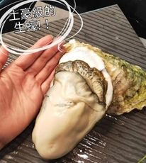 【飛飛購】鮮甜多汁 巨無霸全殼生蠔 附發票