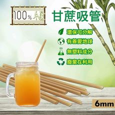 【100%植】斜口甘蔗吸管 6mm