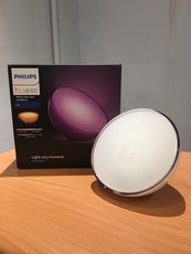 Philips Hue Go 情境燈 便攜無線智能多彩 充電式 調色LED燈 110-220V