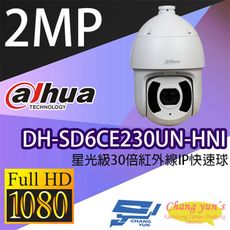 昌運監視器 大華 DH-SD6CE230UN-HNI 星光級30倍紅外線 IPcam 快速球攝影機