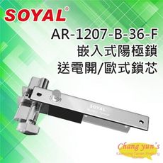 昌運監視器 SOYAL AR-1207B-36-F 送電開 陽極鎖 有歐式鎖芯 (旋鈕+鑰匙孔)