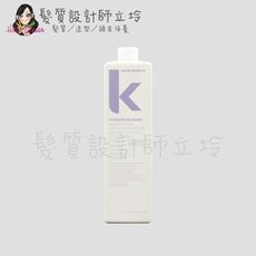 立坽『瞬間護髮』派力國際公司貨 KEVIN.MURPHY 天降甘霖潤護1000ml