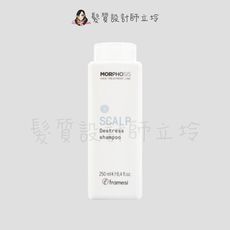 立坽『頭皮調理洗髮精』喜徠化粧品公司貨 Framesi雲緹佛媚絲 永續媚力舒壓洗髮乳250ml IS
