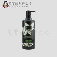 立坽『洗髮精』VIESO 聖約翰草全能洗髮乳800ml IS01 IS03