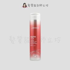 立坽『洗髮精』中美嬌兒公司貨 JOICO 喚時悅髮潔髮乳300ml IH13