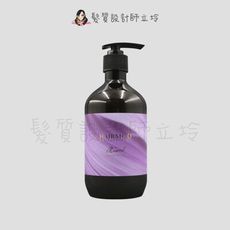 立坽『洗髮精』髮瑪國際公司貨 BY FAMA HAIRMOD MIXED 彩染靚露-紫杏450ml