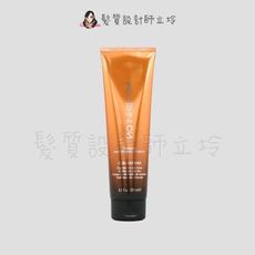 立坽『造型品』得軼公司貨 z.one《無侷限造型系列》捲度定義150ml IM04