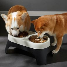 撞色高架護頸不鏽鋼飼料碗 高架碗 防打翻雙碗 飼料碗 餵食器 貓碗 狗碗 飲水碗