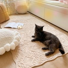 超柔羽毛牛奶絨床邊地毯 奶油色臥室毛絨地墊 防滑地毯 沙發墊