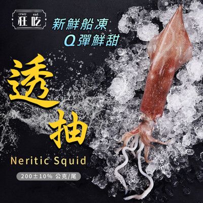 【狂吃】新鮮船凍野生透抽(獨立包裝 200g/尾 中卷)