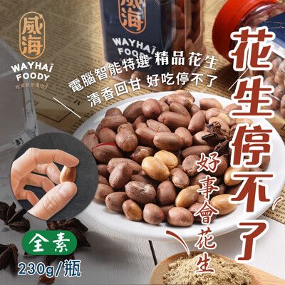 【威海Way Hai】正宗雲林北港 經典原味花生(全素/230g/瓶)