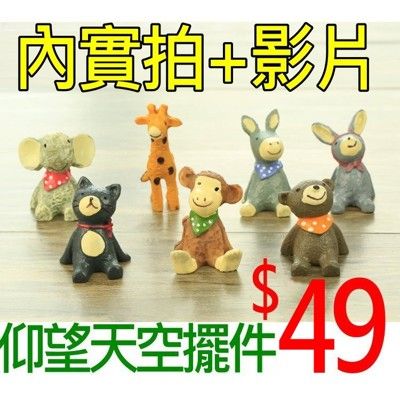 【台灣現貨免等】仰望天空小動物🎊樹脂飾品可愛照道具拍攝背景擺件裝飾拍照道具IG雜貨Zakka星空