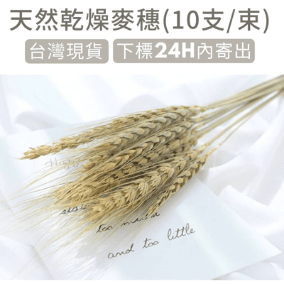 【台灣現貨24H內寄】📣乾燥天然麥穗🎊木質飾品拍照道具拍攝背景擺件裝飾拍照道具雜貨Zakka星空