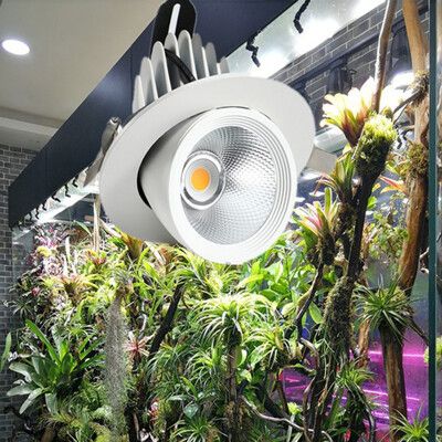 【居家家】全光譜植物補光燈 室內30W嵌入式植物燈 綠植花卉多肉上植物生長燈